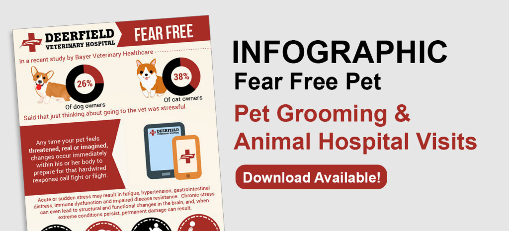 Fear Free Pet Grooming Animal Hospital Springfield