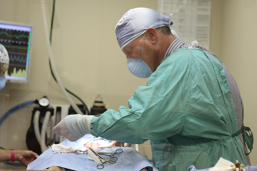 Veterinary Surgery - Springfield, MO - Deerfield Veterinary Hospital